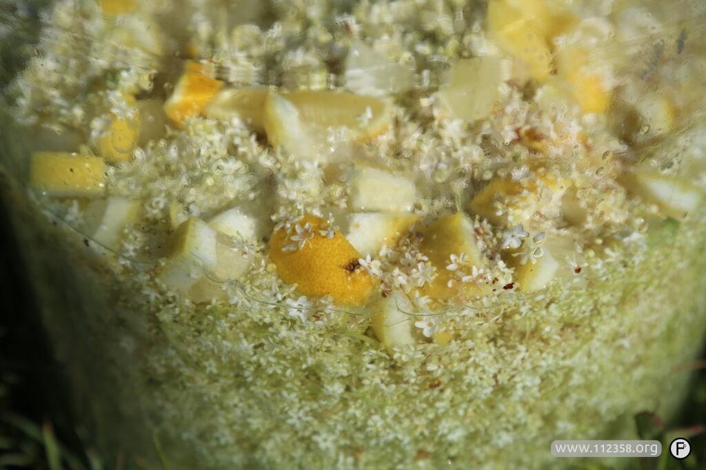 wino_z_kwiatow_bzu_4