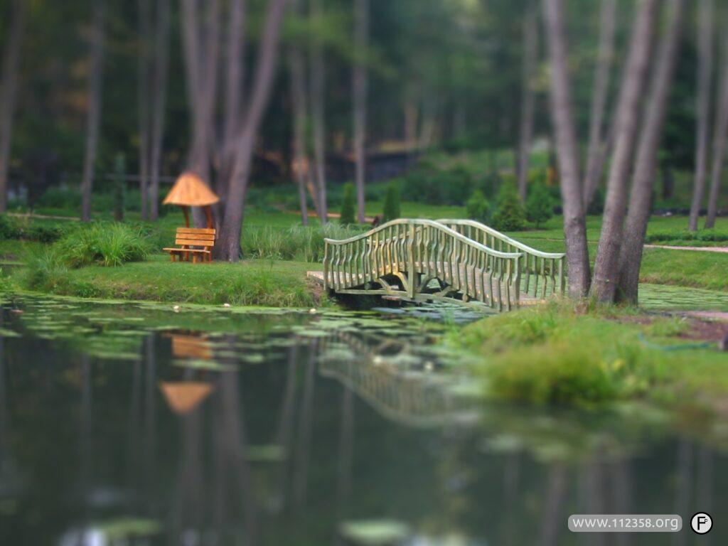 galeria_drewniany_mostek_sadzawka_4-tiltshift